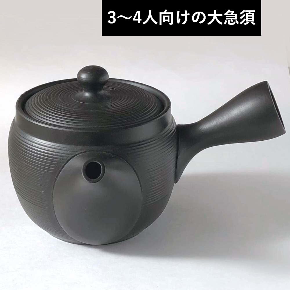 Tokoname Ware Large Teapot with Ceramic Tea Strainer, Ceramesh, 480cc, Made in Japan (Black Mud)