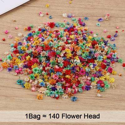 1 Saco Flores Secas para Arte Artesanato Vela Sabonete Material para Fazer Casamento Festa de Aniversário Presente DIY Decoração de Casa Mini Flor Prensada