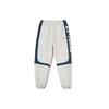 Li Ning Sports Trendy Collection Knitted Sweatpants Men's Antarctic Gray AYKR405-1