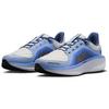 Nike Air Winflo 11 GORE-TEX Phantom Cobalt Bliss W - FQ1359-002