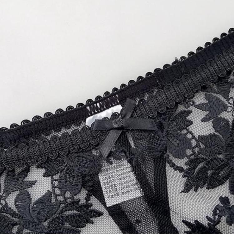 Sexy Low Rise Thong for Women - Lace Floral Embroidery Sheer Lingerie