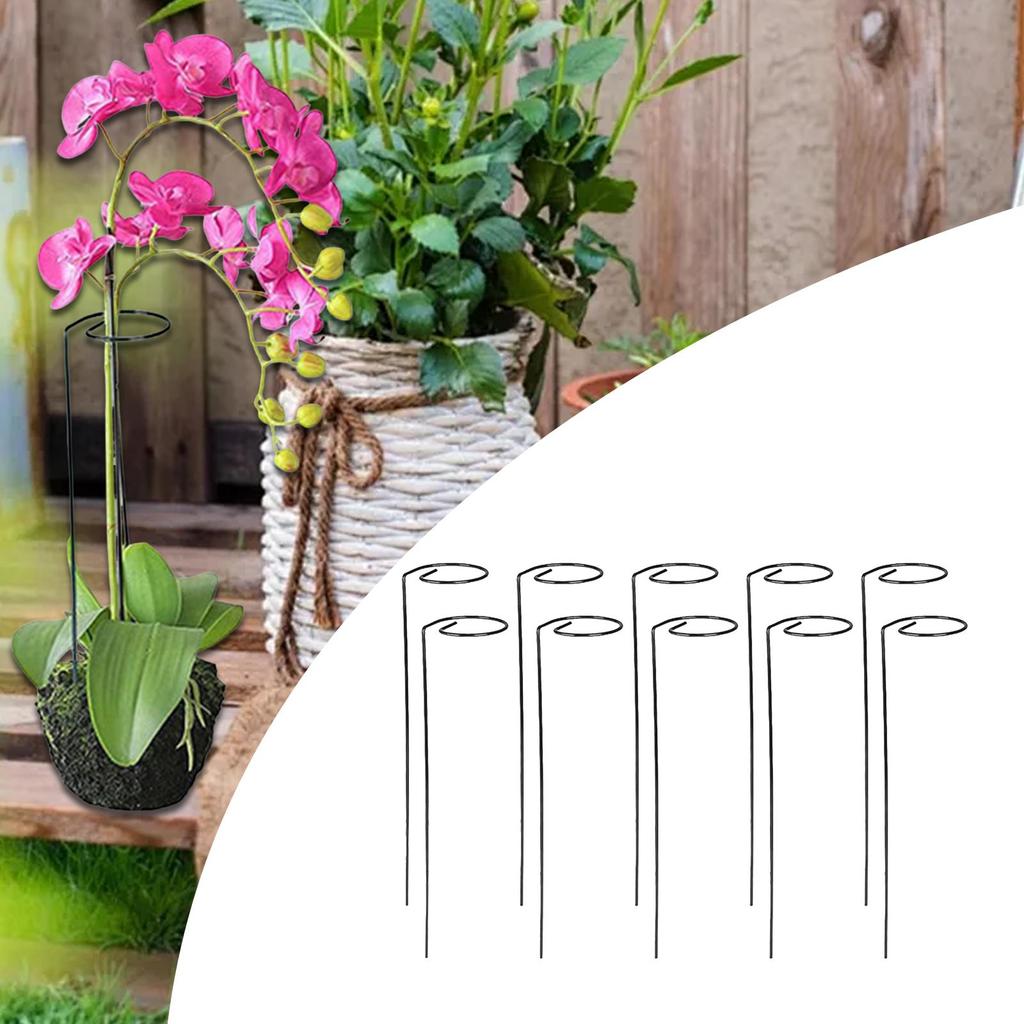 Climbing Plant Stakes Space Saving Racks Reusable Easy Install Tomato Twist Stakes for Indoor Fruits Vegetables Yard Flowers