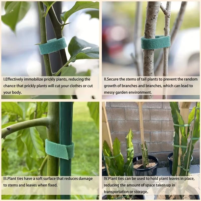 Fascetta autoadesiva in nylon per piante, verde, regolabile, con gancio e anello, supporto per spago da giardino, fascetta riutilizzabile, nastro di fissaggio