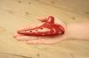 TNG Ocarina Musical Instrument Holes High Quality Single SC Ocarina Tube Playing Glazed Finish [12 / Soprano/C Key/Red] (with Strap)