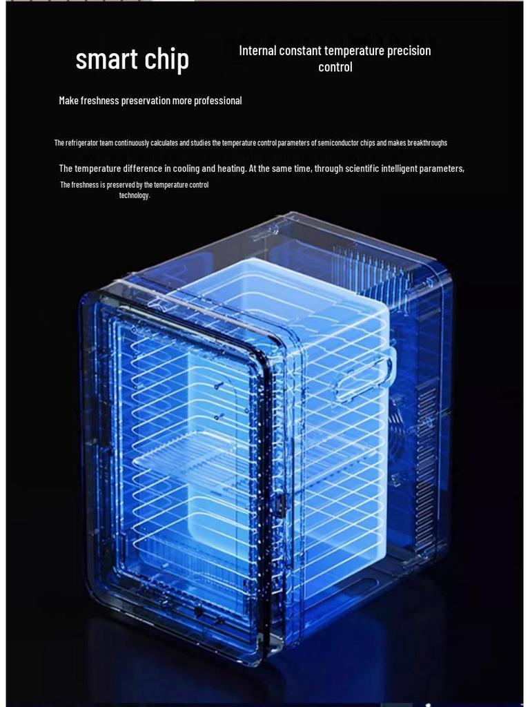 Portable Beauty Mini Fridge with Makeup Mirror for Car or Home Use
