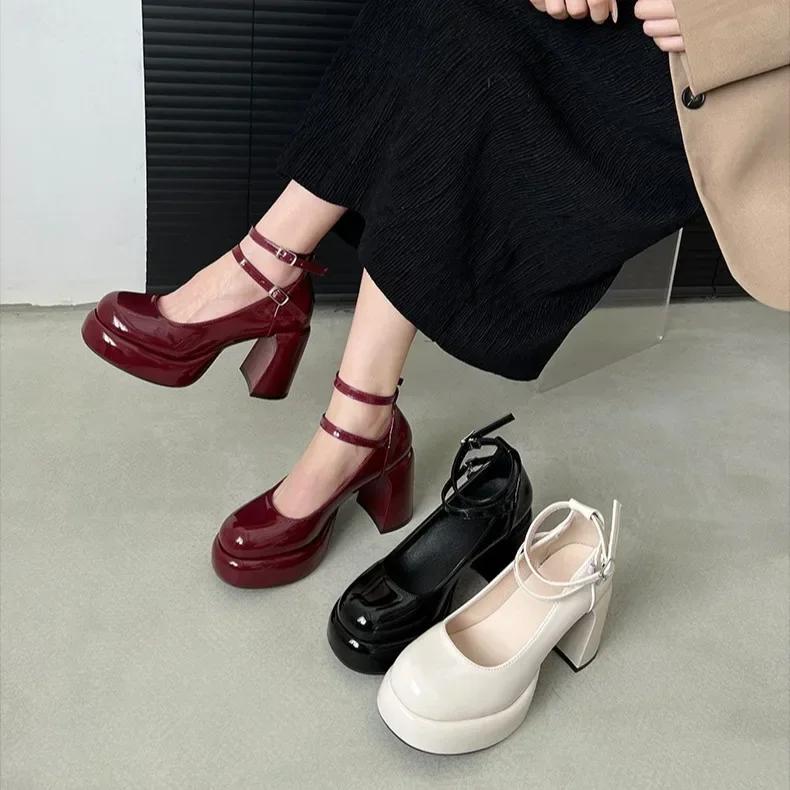 Fashion Designer Platform Women Mary Jane Shoes Fashion Elegant Double Buckle Thick Heel Shoes Ladies Dress Pumps High Heel Party Shoes