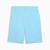Puma ESS 2 COLOR NO.1 LOGO 10" TR men's shorts blue 68471545 r S