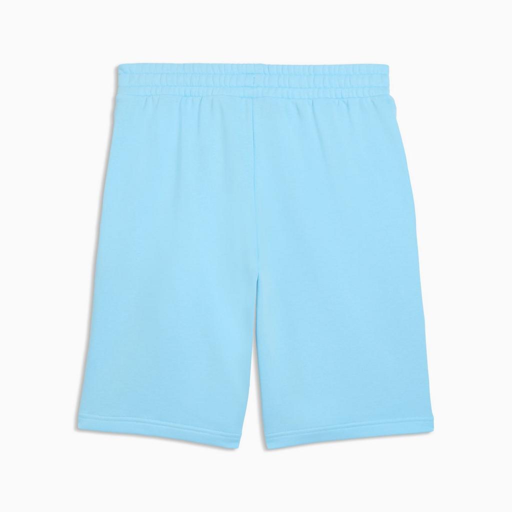 Puma ESS 2 COLOR NO.1 LOGO 10" TR men's shorts blue 68471545 r S