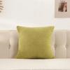 Plush Velvet Pillow Cover Premium Teddy Fleece Sofa Cushion Case Office Nap Pillow Seat Back Support Home Decor Throw Pillowcase