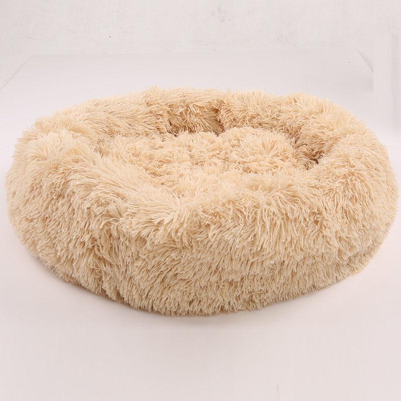 toy dog beds