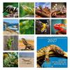 Lizard Collector Items 2025 Wall Calendar 12 Month Hanging Monthly Planner with Thick Schedule Organizer Matte Paper and Double Coil Binding for Home