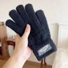 Cold Proof Warm Gloves Casual Mittens New Plush Gloves  Winter