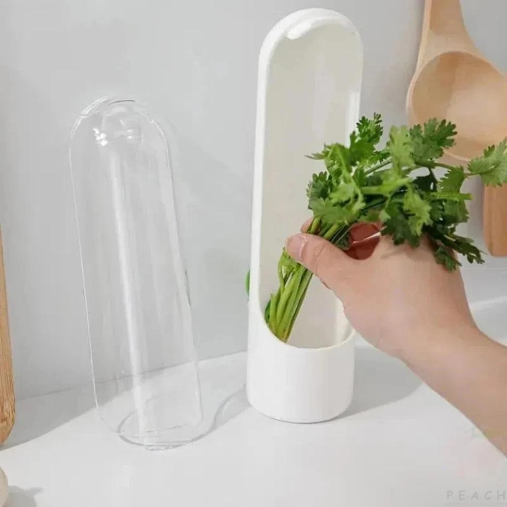 Cross-border Vanilla Vegetable Fresh-keeping Box Dust-proof Anti-pressure Environmental Protection Fresh-keeping Device Creative