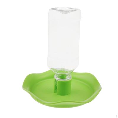 Bebedouro Alimentador Automático Garrafa Dispensadora para Répteis Tartarugas