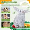 New Pet Snuffle Mat Round Rabbit Foraging Mat Foldable Portable Bunny Puzzle Mat Pet Supplies for Guinea Pig Kitten and Puppy