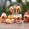 Capybara Lucky Mascot Resin Figure Doll - Creative Blind Box Micro Landscape Ornament