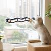 Toy -Shaped Track Ball with Three Suction Cups for Glass and Wall Interactive Play