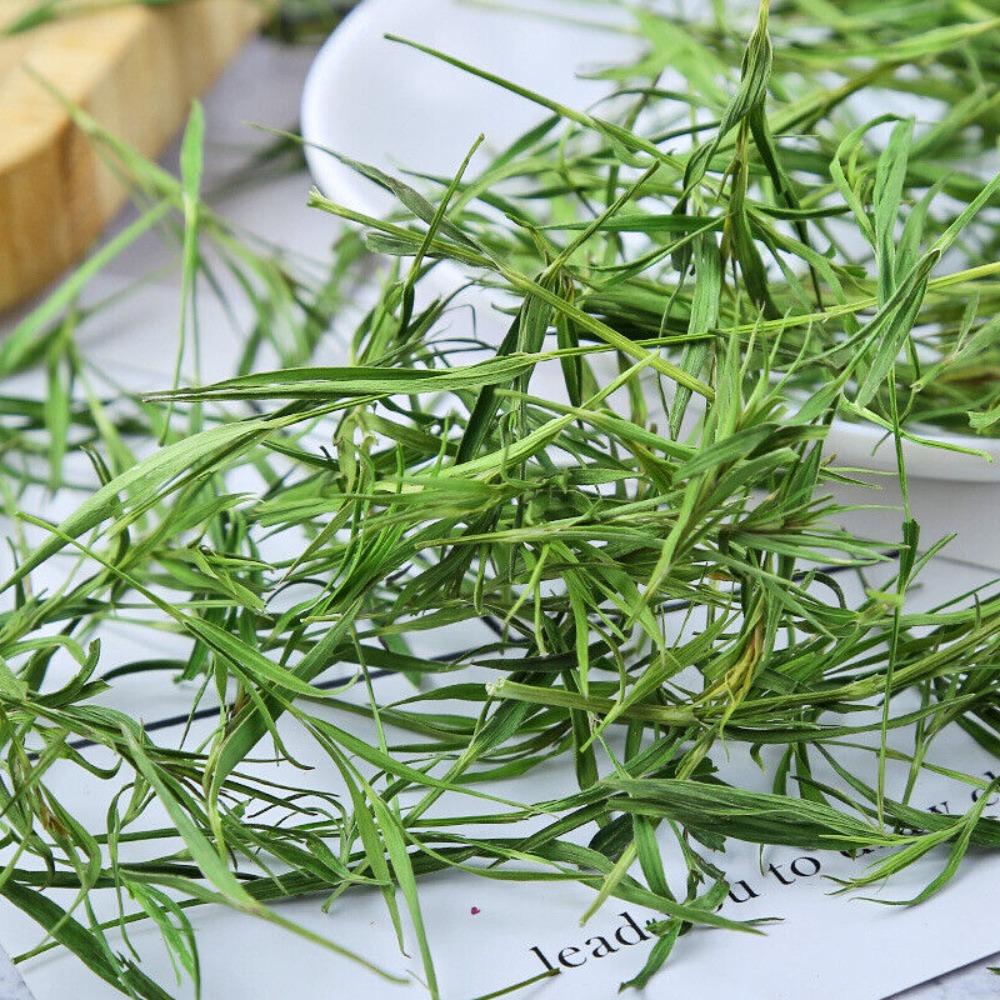 Bulk Bamboo Leaf Herbal Tea Limonium Tea Light Drink 500g Bulk Bamboo Leaf Herbal Tea Limonium Light Drink 500g