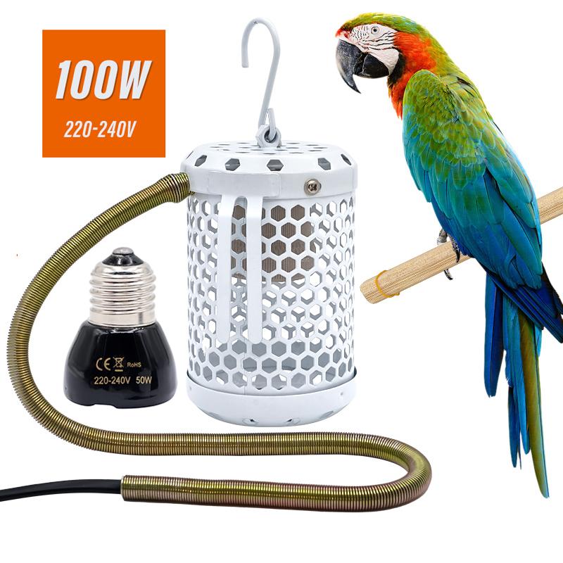 Riscaldatore Gabbia Conservazione Pappagallo Animale Domestico Lampada Riscaldante Anti-morso Anti-scottatura Rettile Luci Calde Accessori Forniture per Uccelli 220V