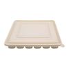 Eco-Friendly Corn Starch Biodegradable Dumpling Boxes