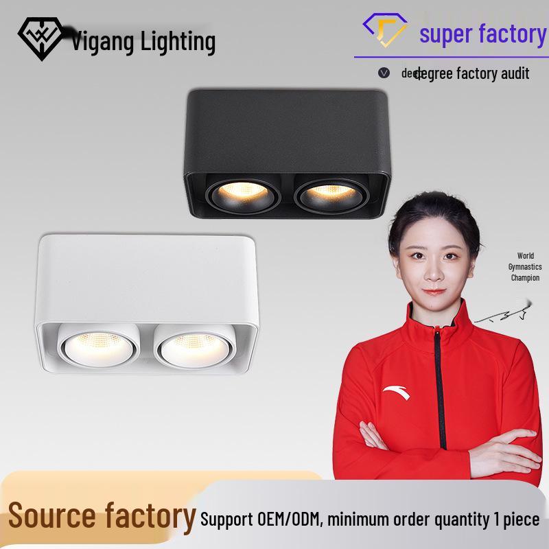 

Surface Mounted Anti-Glare Double Head LED COB Spotlight for Living Room & Aisle Ceiling 10W*1 Single Head