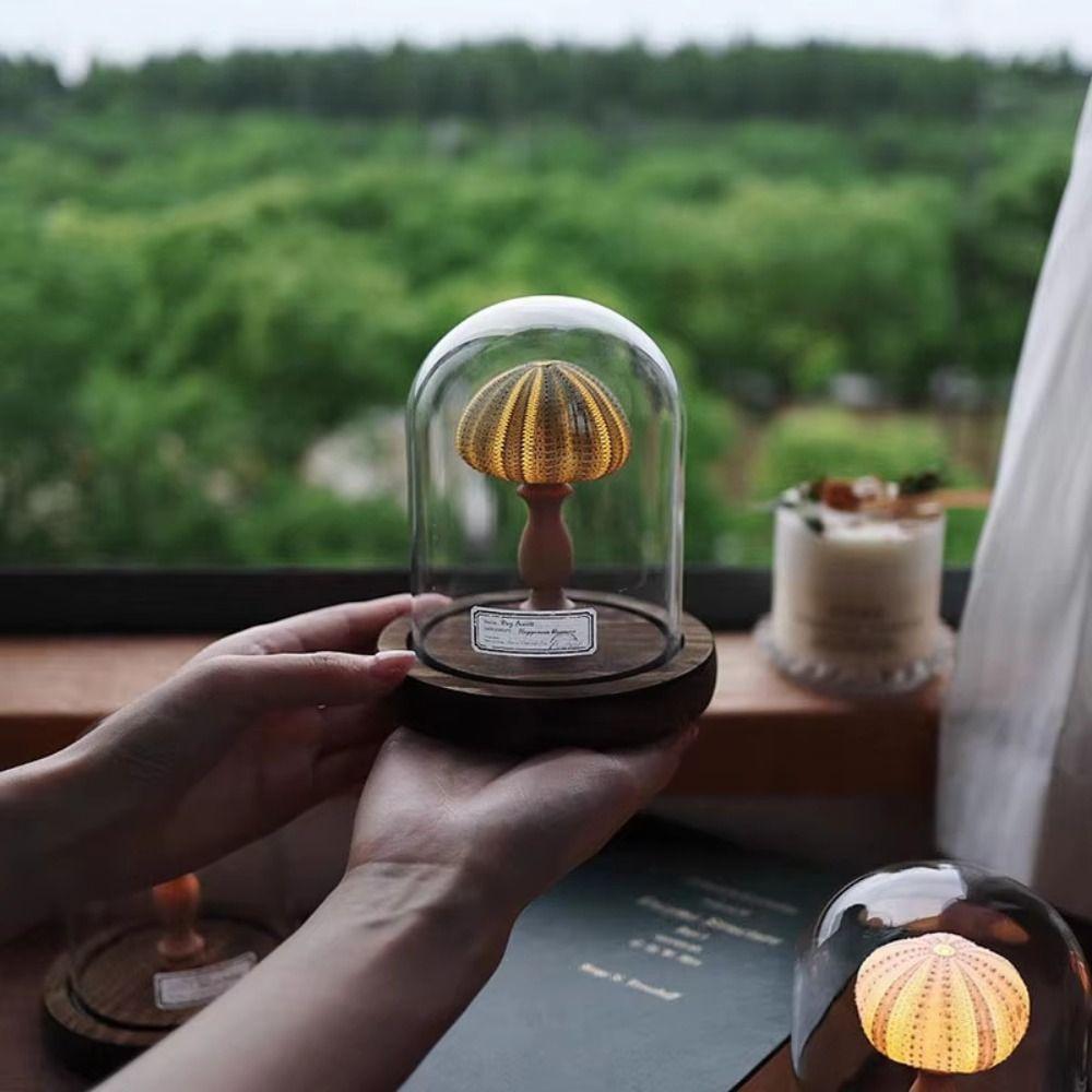 Soft Lighting Sea Urchin Lamp Handmade Night Light Ornament Idea Shell Lamp Indoor Room