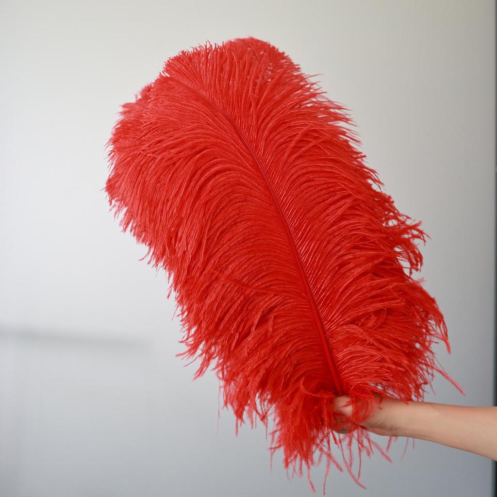 15-75cm Red Ostrich Feathers for Wedding Aisle Centerpieces, Table Decorations, Wall Art, Stage Props