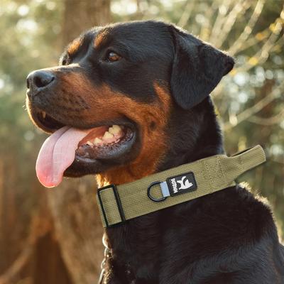 Neilona liela suņu kakla siksna, militāri taktiski regulējami apmācību pavadi pastaigu kaklasiksnas lieliem suņiem Pitbull mājdzīvnieku aksesuāri