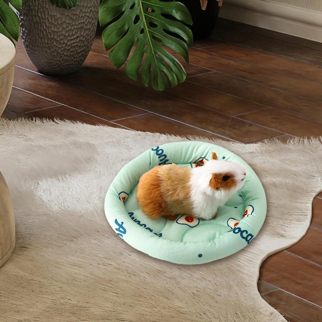 Comfy Small Pet Bed for Hamsters and Guinea Pigs