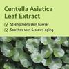 IUNIK Centella Mini Set