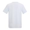 Regatta Mens Fingal Mountain T-Shirt