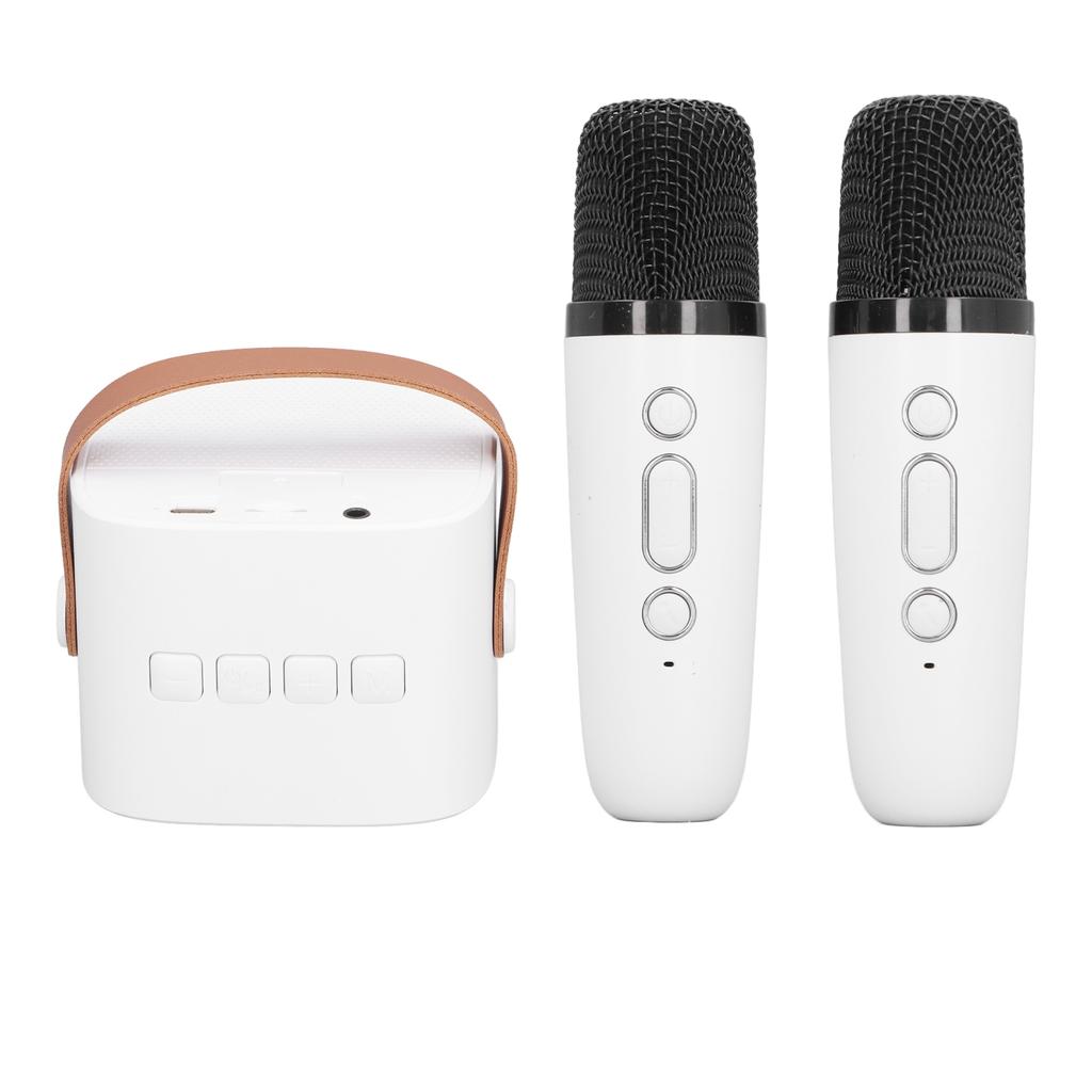 Kids Karaoke Machine Portable Versatile Long Endurance Dual Microphone Bluetooth Speaker for Party