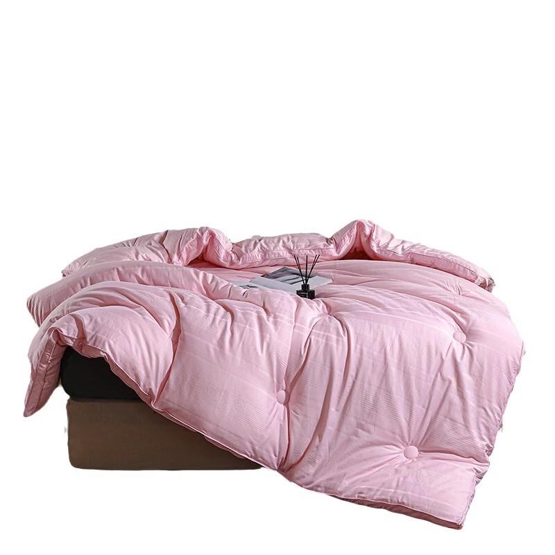 Brangdy Soy Fiber Warm Duvet Insert