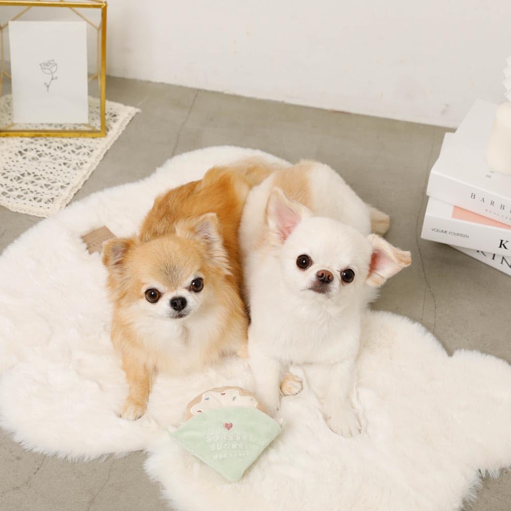 Ring Donut Toy Dog Squeaky Chew Toy Plush for Small Dogs monchéri (Green/FREE) Toy, Squeaky,