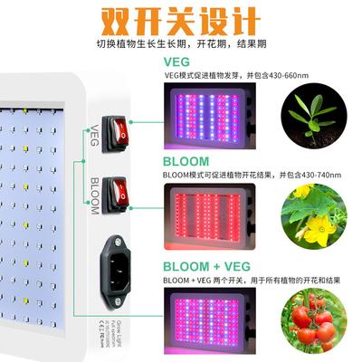 Lampe de croissance LED Quantum Board 5000 W, phytolampe à spectre complet pour plantes, ampoule LED d'intérieur 4000 W pour phytolampe pour semis de fleurs