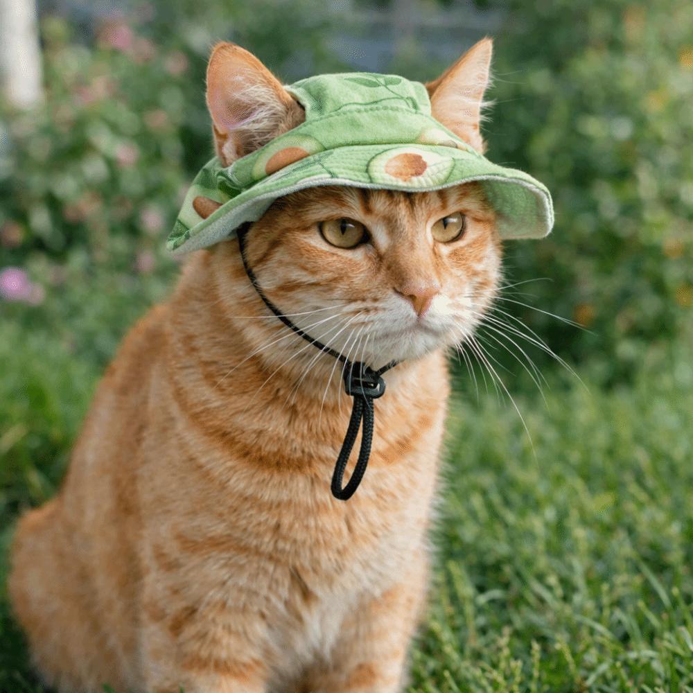 with Ear Holes Dog Sunscreen Hat Breathable Pet Visor Hat Fashion Cat Fisherman Hat  Summer Outing