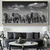 Black and White Posters and Prints with Animals, Canvas Painting, Family Painting with African Wild Elephant On the Wall, Home Decor, No Frame