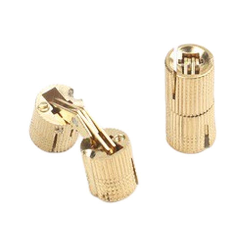 Copper Cylinder Concealed Hinges for Invisible Doors Adjustable Screws