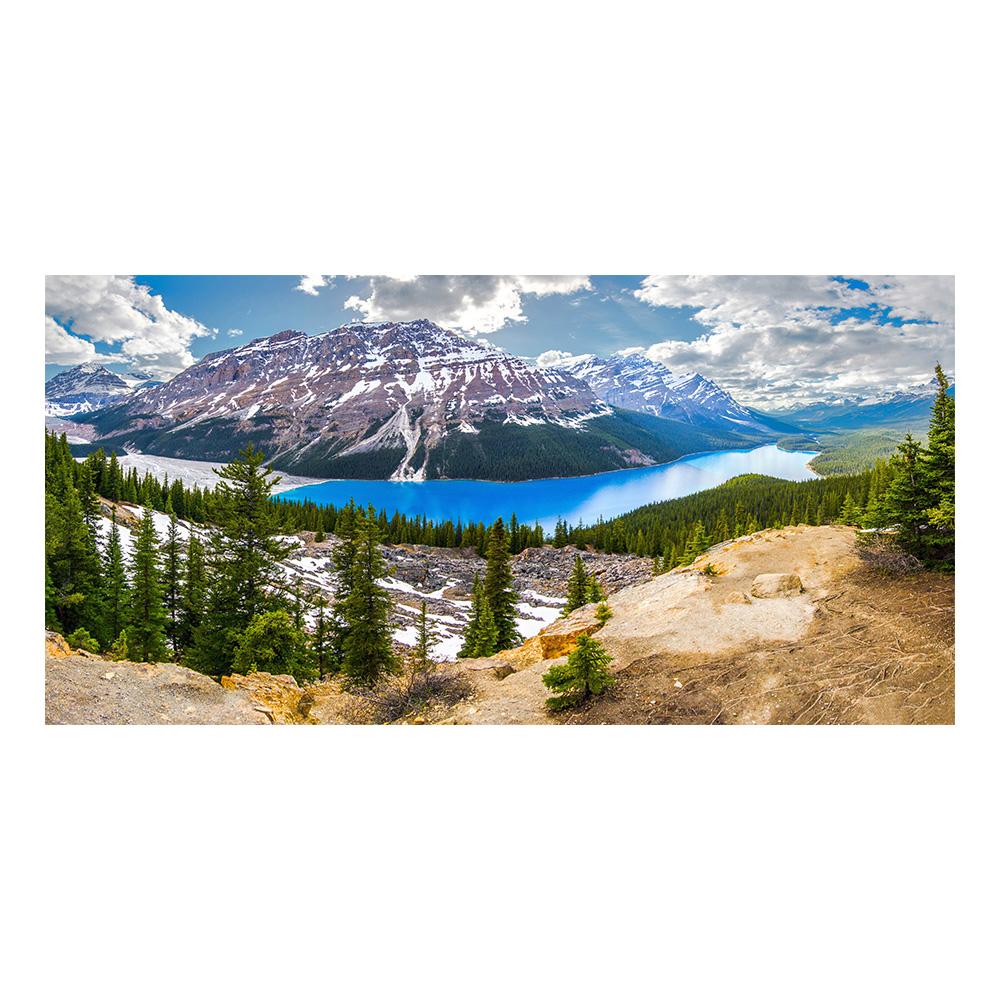 

Canvas Painting Snow Mountain Landscape Canvas Print Art Canvas Wall Art Poster For Living Room Home Decor 20x40cm NoFrame