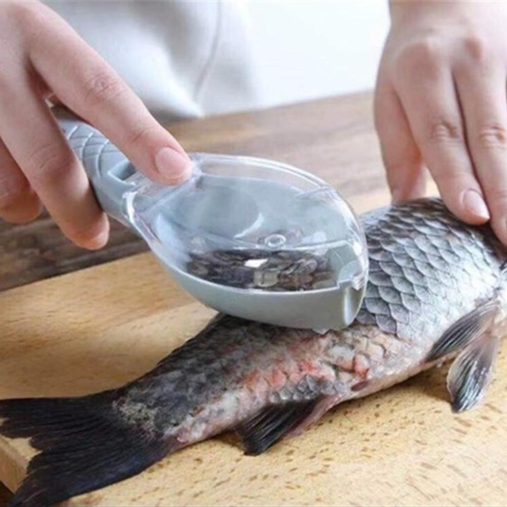 with Container Fish Cleaning Tool Fast Remove Fish Skin Brush Home Kitchen Cooking