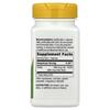 Folate, 800 mcg DFE, 100 Capsules