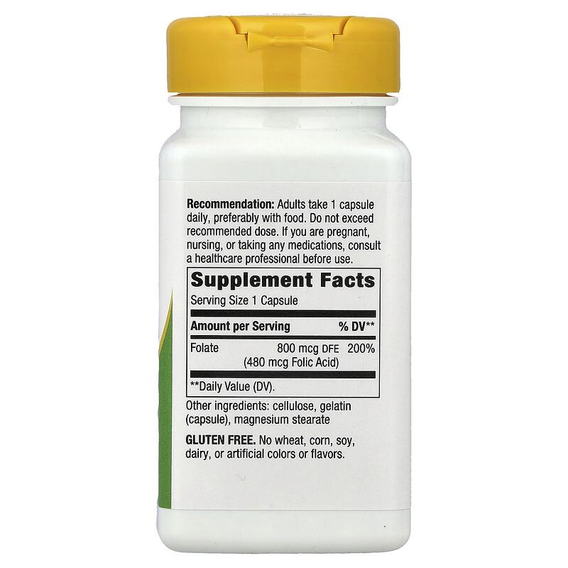 Folate, 800 mcg DFE, 100 Capsules