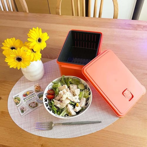 Skater Microwave Salad Chicken Maker UDY2C-A