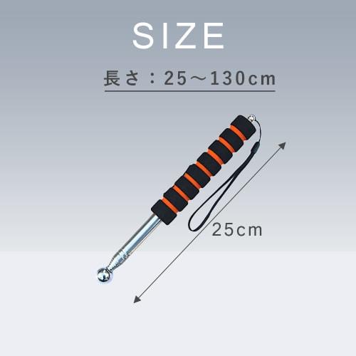TKY Percussion Rod, Percussion Diagnostic Rod, Percussion Hammer, Percussion, Percussion Diagnostics, Exterior Wall, Tile Construction, Survey, Inspec