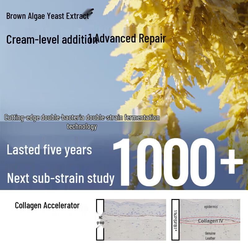 Dr. Alva Yeast Extract Anti-Wrinkle Firming Essence Water