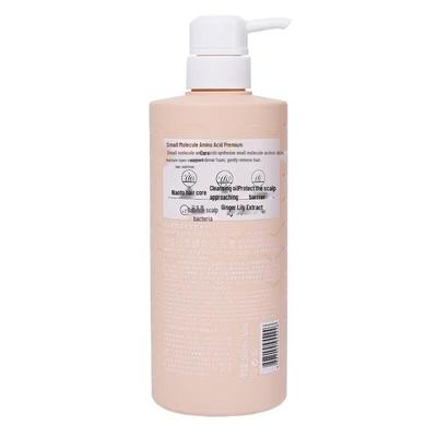 POTE Ginger Strengthening Shampoo