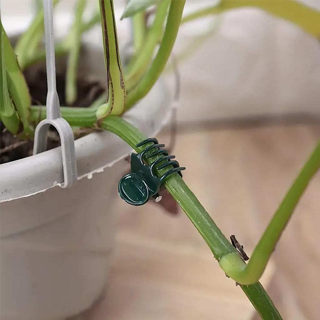 100/200 Stück Pflanzen Ranken Wäscheklammern Schmetterlingsorchidee Blumenstützklemme Obst Gemüse Stiel Ast Wachstumsbefestigung Schnalle