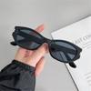2pcs Stylish Vintage Cat-Eye Eyewear  for Elegant Ladies Lightweight & Comfortable Ideal for Daily Use and Fashion Decoration