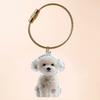 1 Piece Pet Lovers Home Display Gifts Clear Puppy Hair Memorial Keepsake Capsule Pet'S Dog Fur Container Diy Pendant Keychain