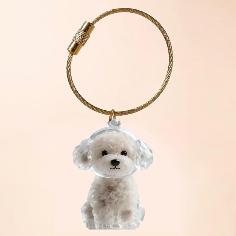1 Piece Pet Lovers Home Display Gifts Clear Puppy Hair Memorial Keepsake Capsule Pet'S Dog Fur Container Diy Pendant Keychain